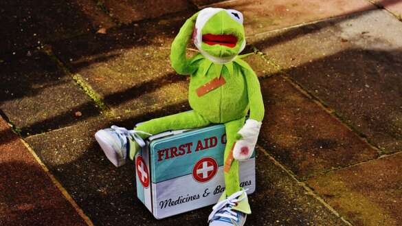 First Aid alexas fotos-kermit-1766145 pixabay