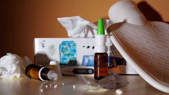 flockine-flu-2764634 Infekte 18.8.2026 Pixabay