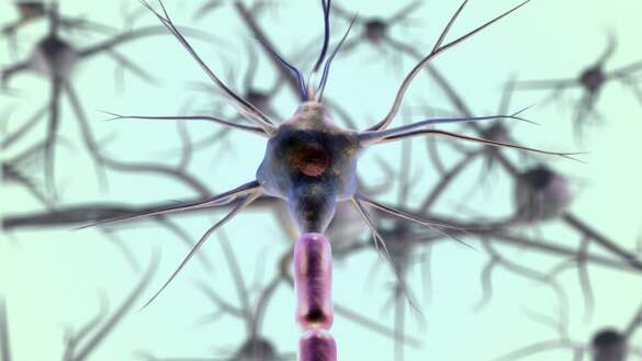 neurons Nerv MS 1920 Pixabay